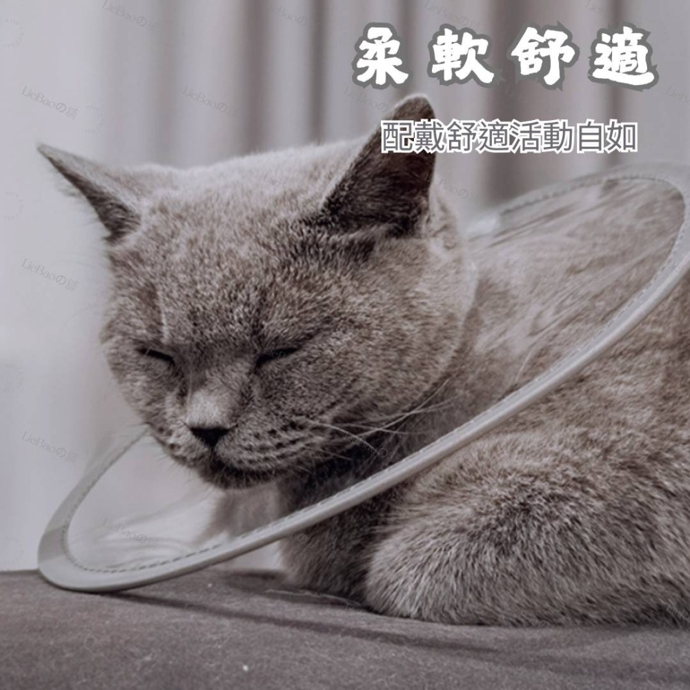 LieBaoの舖🐱台灣現貨🐶寵物透明防水PVC材質伊莉莎白圈🎉防舔防咬保護頭套🪴寵物脖圍🎉寵物防舔防抓🪴寵物-細節圖5
