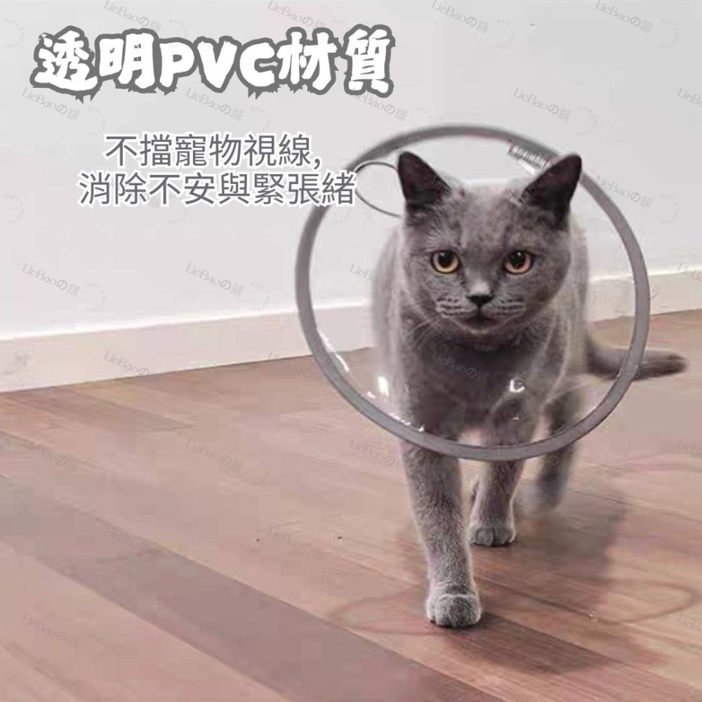 LieBaoの舖🐱台灣現貨🐶寵物透明防水PVC材質伊莉莎白圈🎉防舔防咬保護頭套🪴寵物脖圍🎉寵物防舔防抓🪴寵物-細節圖6