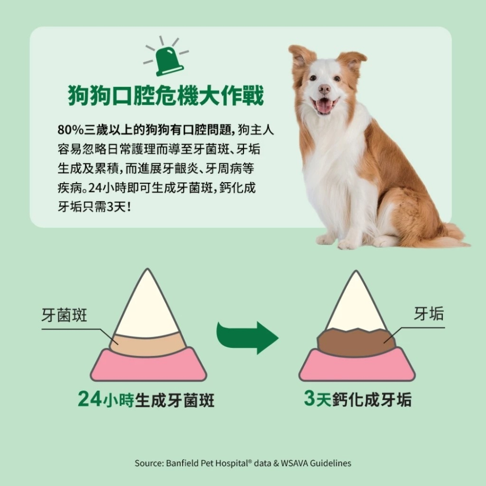LieBaoの舖🐶狗零食🐶美國Greenies健綠潔牙骨🆕️3oz原味🆕️2-7kg迷你犬7-11kg🆕️-細節圖5