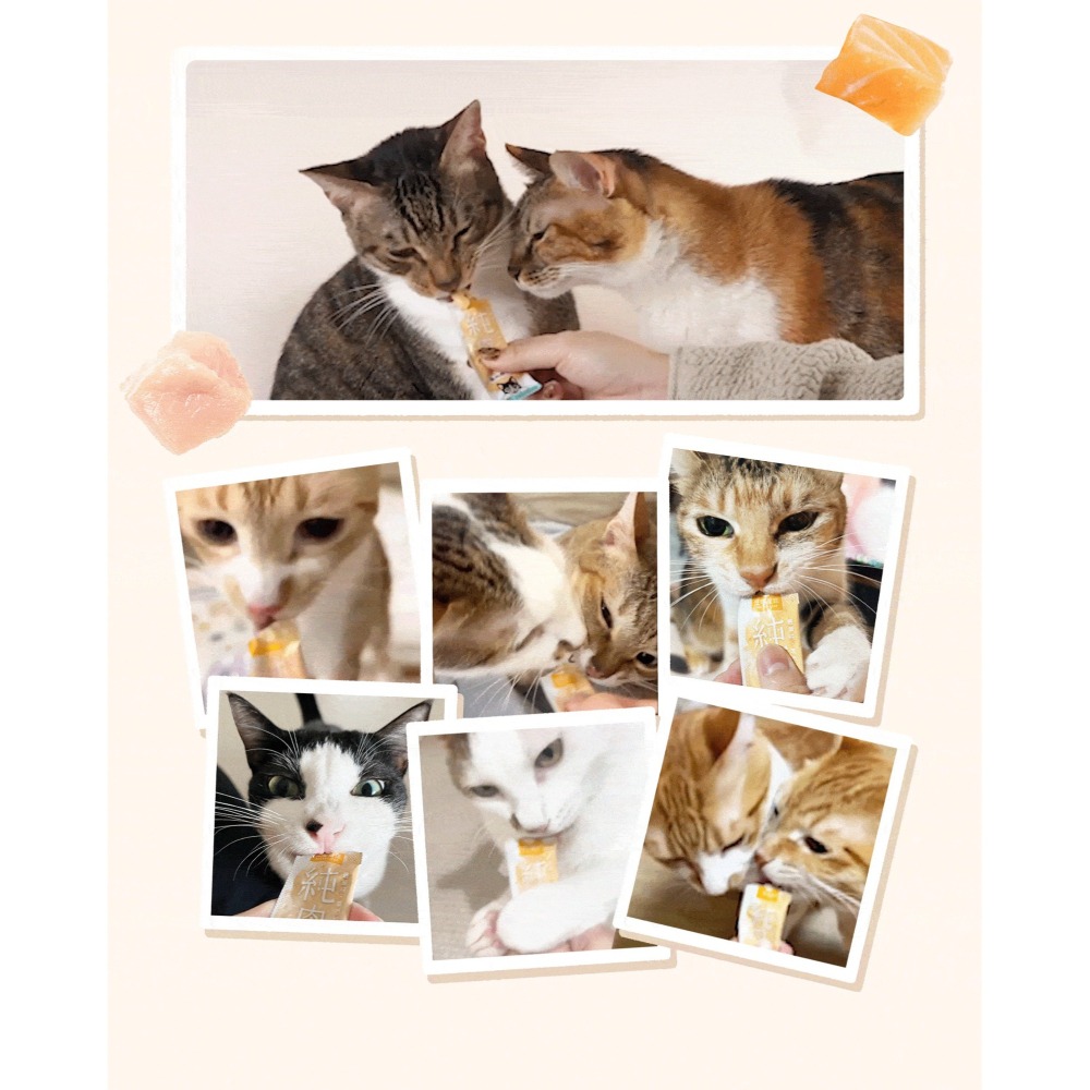 LieBaoの舖🐱犬貓肉泥🐶汪喵星球 無膠純肉泥 6g*5入🎊純肉泥👏🏼貓肉泥🌼真湯 純肉🌼犬肉泥🌼-細節圖11