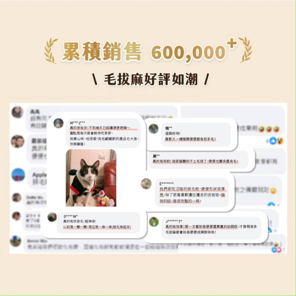 LieBaoの舖🐱犬貓保健品🐶汪喵星球 寵物天然排毛粉50g🥇寵物化毛膏🎉保健品🎉幫助腸胃蠕動🎉天然植物纖維-細節圖5