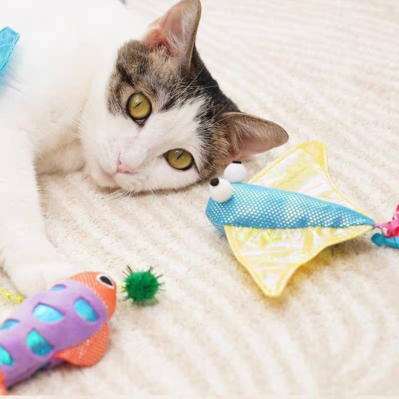 LieBaoの舖🐱台灣現貨🐱貓薄荷幻彩變色響紙海洋魚逗貓磨牙玩具🌱磨牙潔齒玩具🎨貓咪紓壓🎨自嗨解悶🎨貓玩具-細節圖7