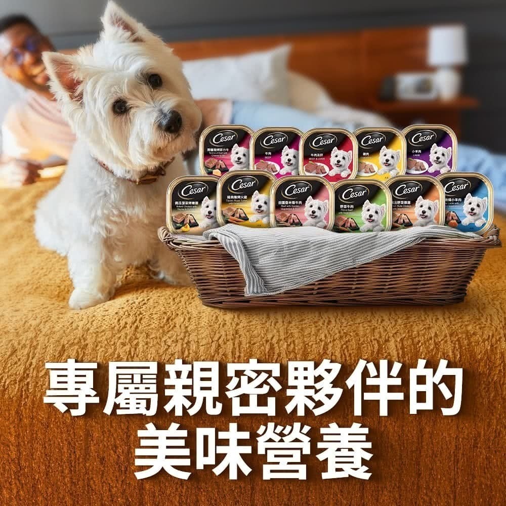 LieBaoの舖🐶狗狗主食餐盒🐶Cesar西莎 經典風味餐盒*單入100g🌱狗罐頭🌱狗主食罐🌱Cesar西莎-細節圖2