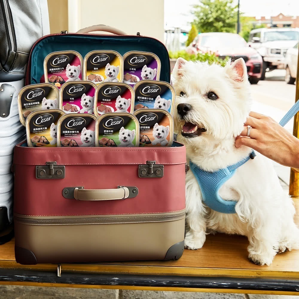 LieBaoの舖🐶狗狗主食餐盒🐶Cesar西莎 經典風味餐盒*單入100g🌱狗罐頭🌱狗主食罐🌱Cesar西莎-細節圖3