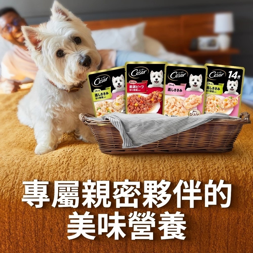 LieBaoの舖🐶新品/犬用餐包🐶【Cesar西莎】綜合多口味 蒸鮮包系列(70g/包)🔹狗罐頭/濕糧🔹成犬專用-細節圖2