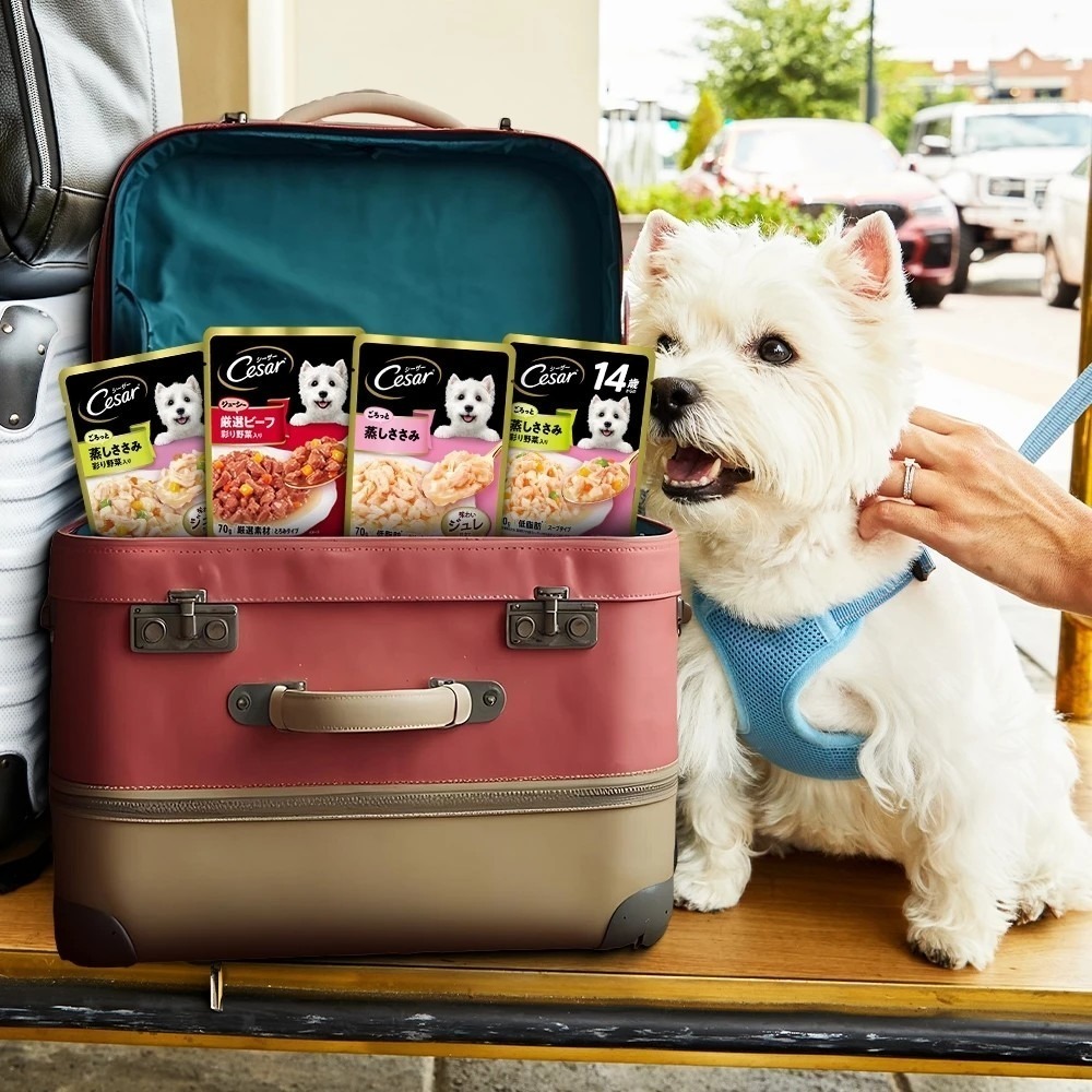 LieBaoの舖🐶新品/犬用餐包🐶【Cesar西莎】綜合多口味 蒸鮮包系列(70g/包)🔹狗罐頭/濕糧🔹成犬專用-細節圖3