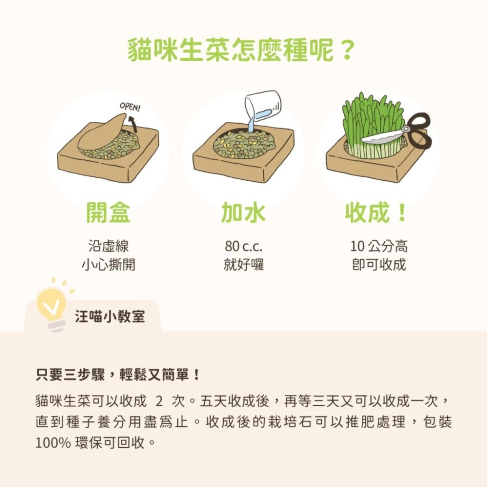 LieBaoの舖🐱貓草栽培組🐱汪喵星球-貓草新鮮栽培盒🌱貓咪生菜🪴去除毛球🪴貓咪零食🌱全齡適用🪴貓咪蔬菜-細節圖6