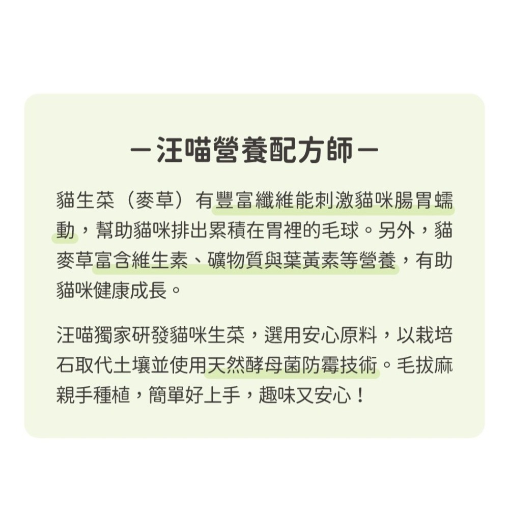 LieBaoの舖🐱貓草栽培組🐱汪喵星球-貓草新鮮栽培盒🌱貓咪生菜🪴去除毛球🪴貓咪零食🌱全齡適用🪴貓咪蔬菜-細節圖7