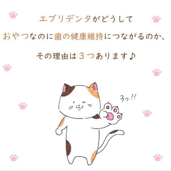 LieBaoの舖🐱貓零食🐱日本 Smack綜合保健酥脆潔牙貓餅乾✨單入裝5g✨口味隨機出貨✨酥脆潔牙貓咪零食✨貓餅乾-細節圖4