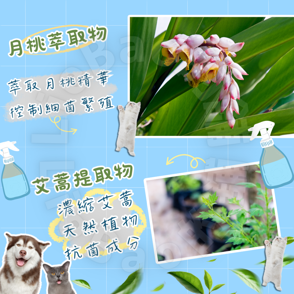 LieBaoの舖🐱寵物用品🐶興家安寵✨天然消臭噴霧270ml✨全效型消臭噴霧✨超強消臭99.9%✨(犬貓專用)-細節圖4