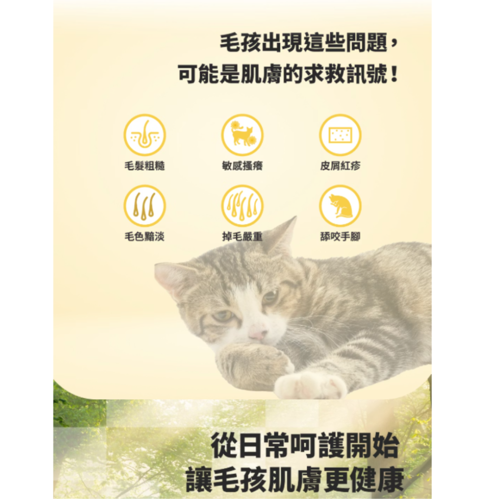 LieBaoの舖🐱貓咪飼料🐱GOMO固牧寵糧🐟機能無穀低敏貓糧🐟美膚亮毛/腸胃保健/腎臟低負擔配方🐟無穀貓飼料-細節圖9
