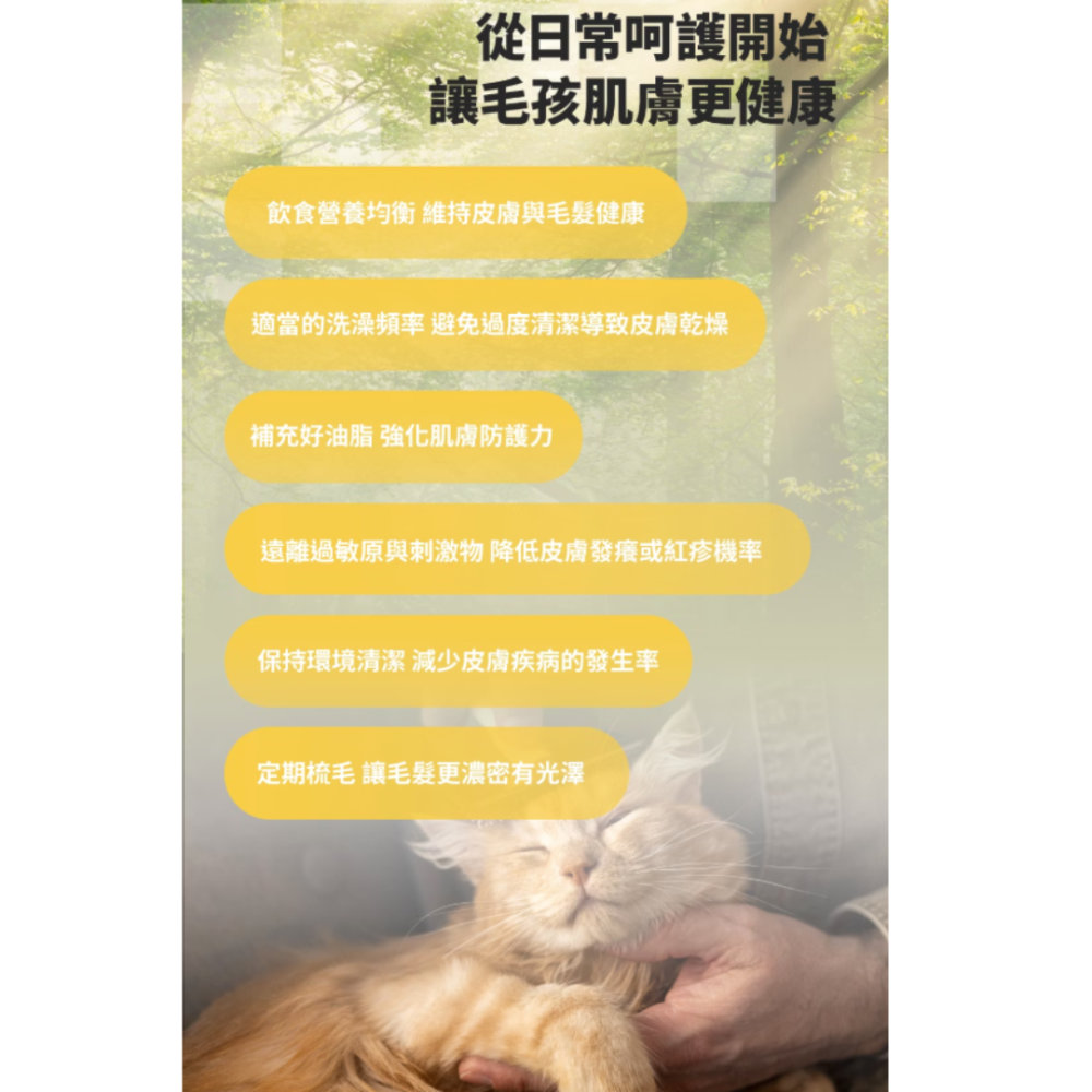 LieBaoの舖🐱貓咪飼料🐱GOMO固牧寵糧🐟機能無穀低敏貓糧🐟美膚亮毛/腸胃保健/腎臟低負擔配方🐟無穀貓飼料-細節圖10