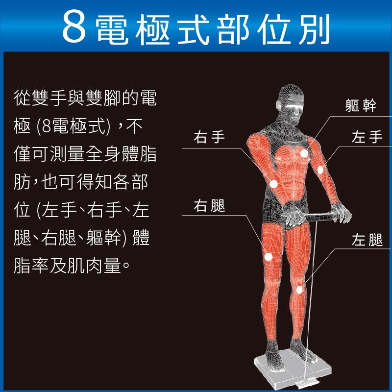 TANITA十合一八點式體組成計-細節圖5