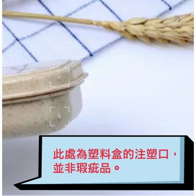 現貨加大環保便攜盒 加長餐具盒 吸管餐盒 吸管盒 學習筷餐盒 餐具盒子 加長筷子盒 加長餐具盒 吸管餐盒 愛寶我的世界-細節圖5