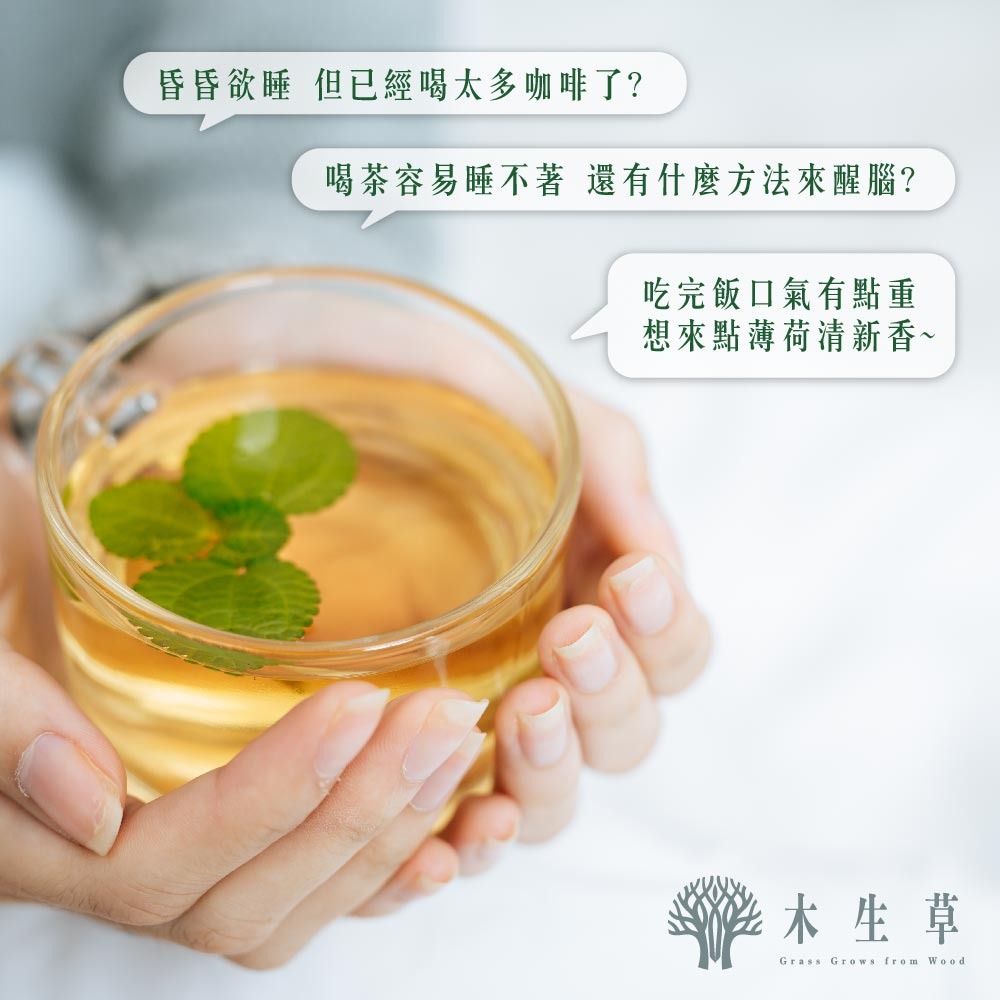 一葉之丘-神清(牛蒡/薄荷/迷迭香)-細節圖3