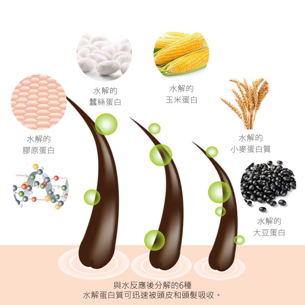 [本月免運費] 韓國 MALCOM 瑪爾珂植物性香氛護髮素 520ML-細節圖6