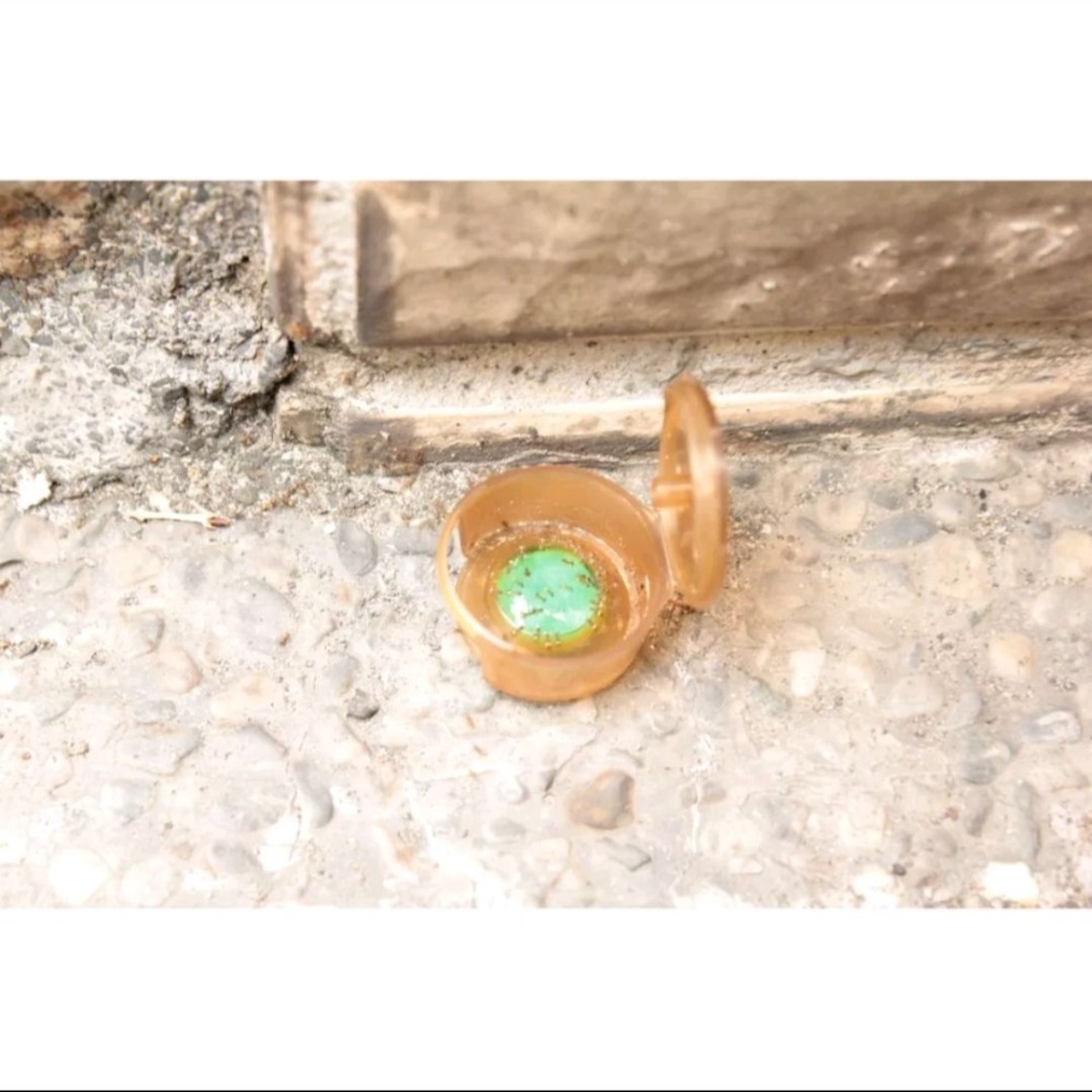 新奧除螞蟻藥 附贈20入安全餌劑盒 公司貨-細節圖2