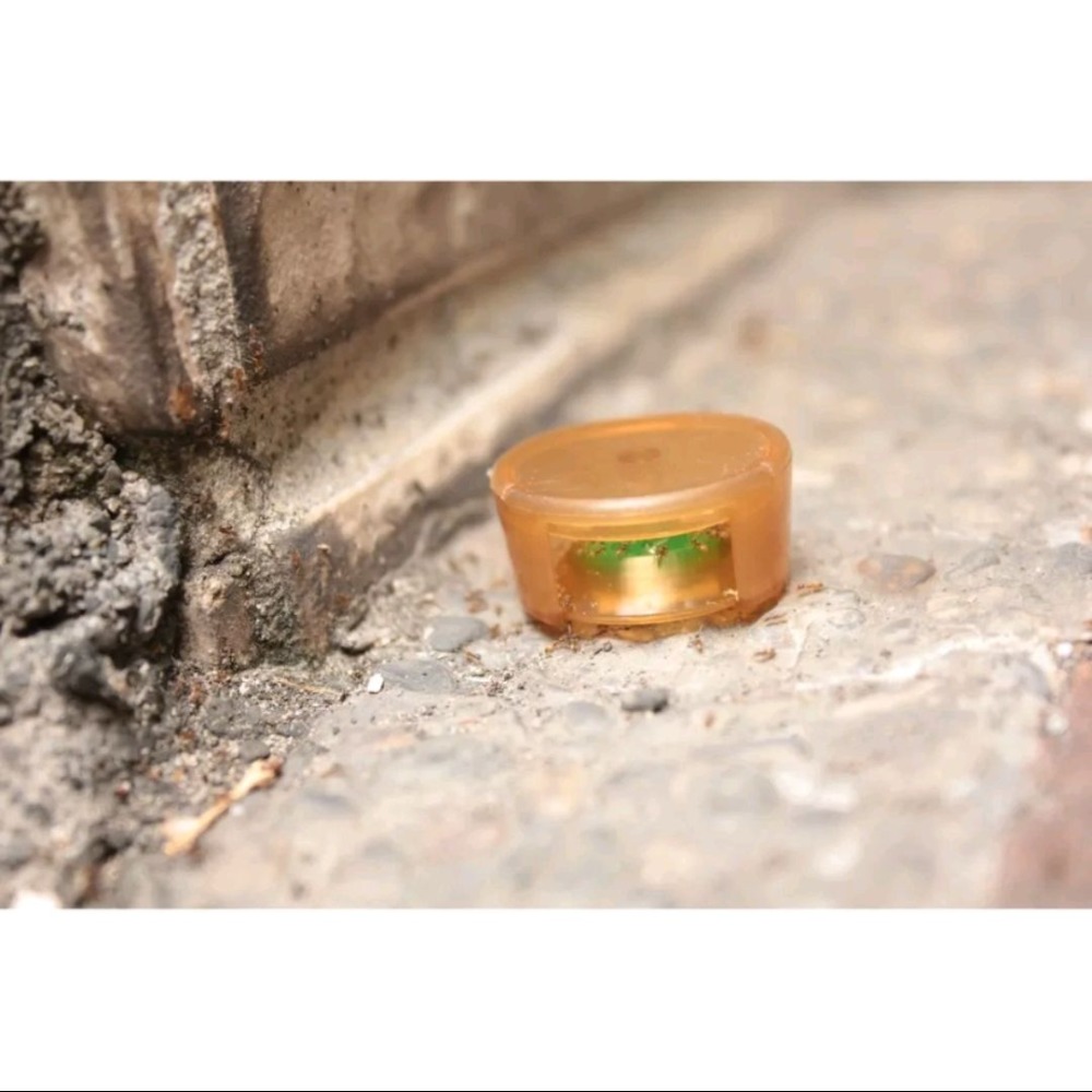 新奧除螞蟻藥 附贈20入安全餌劑盒 公司貨-細節圖3