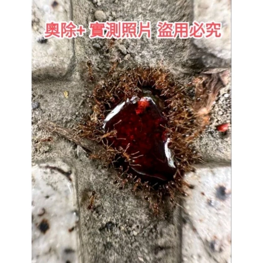 奧除+ 螞蟻藥（黃瓶） 公司貨-細節圖3