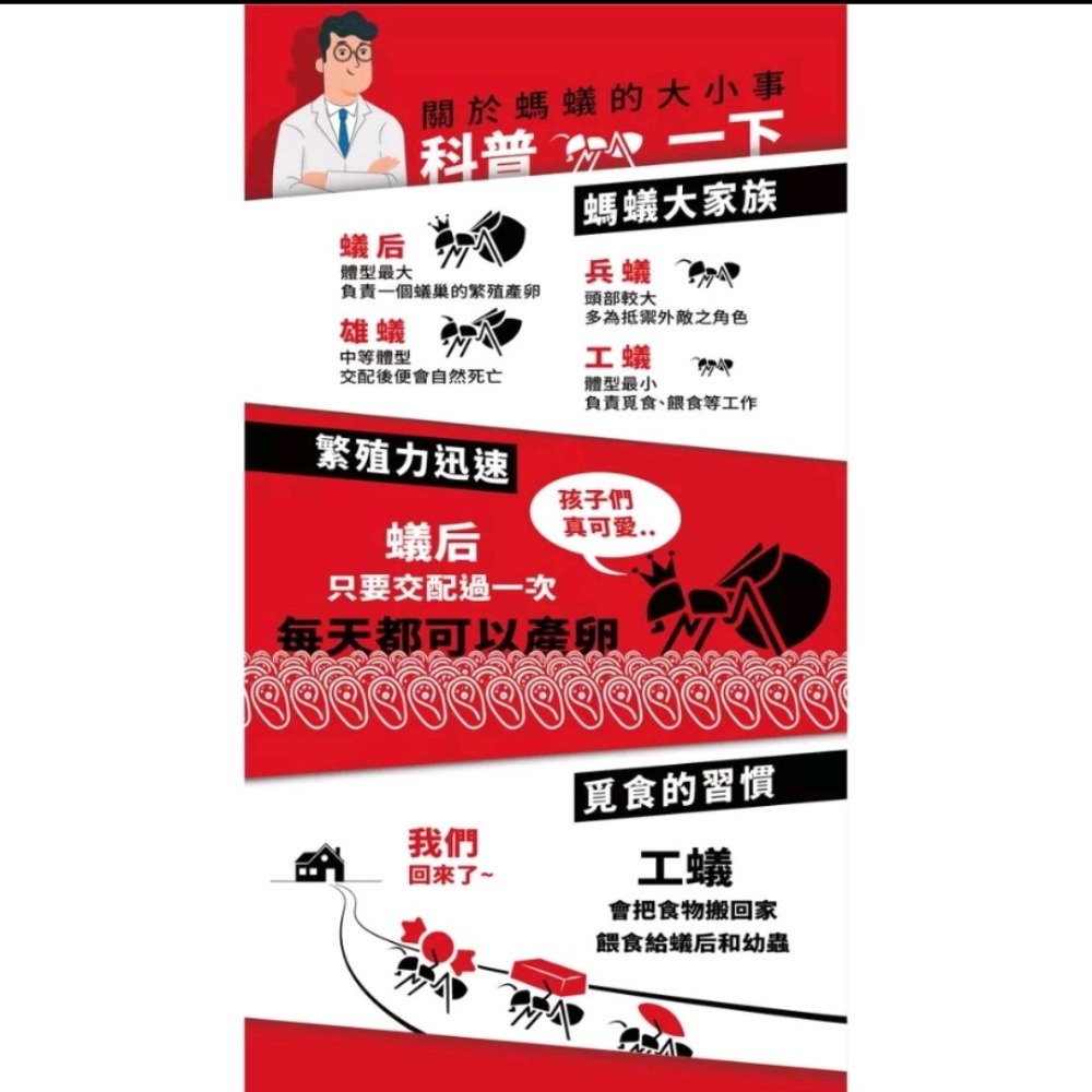 174T螞蟻藥 贈送「專利軟管擠壓器」及20入安全餌劑盒-細節圖2