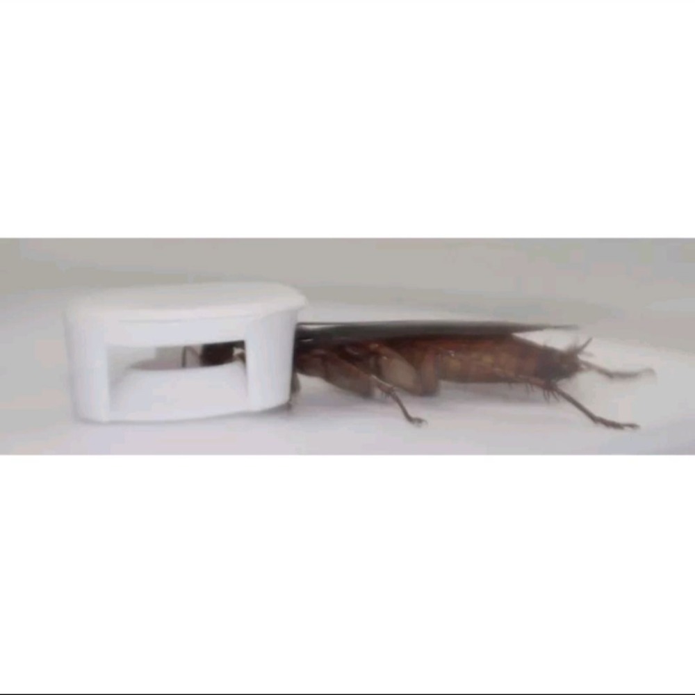 174T蟑螂藥 一點絕 小強絕 螞蟻絕 蟑螂藥 螞蟻藥 凝膠餌劑專用(空-10入裝) 公司貨-細節圖4