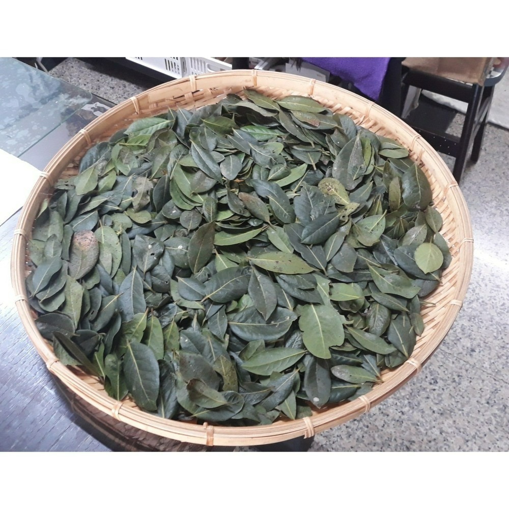 月桂手工皂（中乾肌）-細節圖4