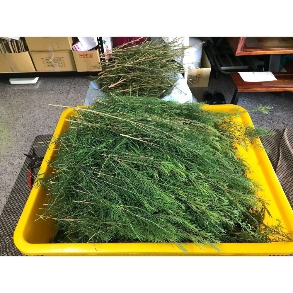 自種自餾精油《畝青工坊》天然·乾淨·環保-細節圖7