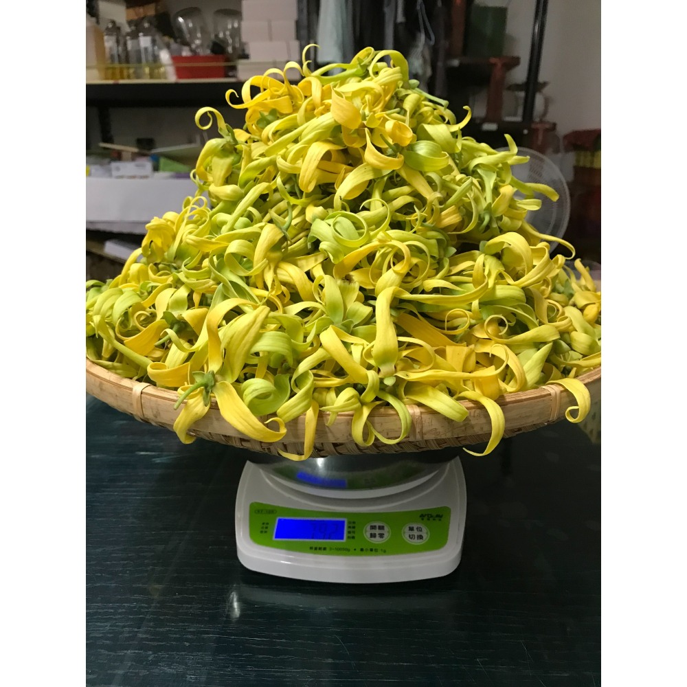 依蘭依蘭純露/無毒農法<畝青工坊>20240820-細節圖3