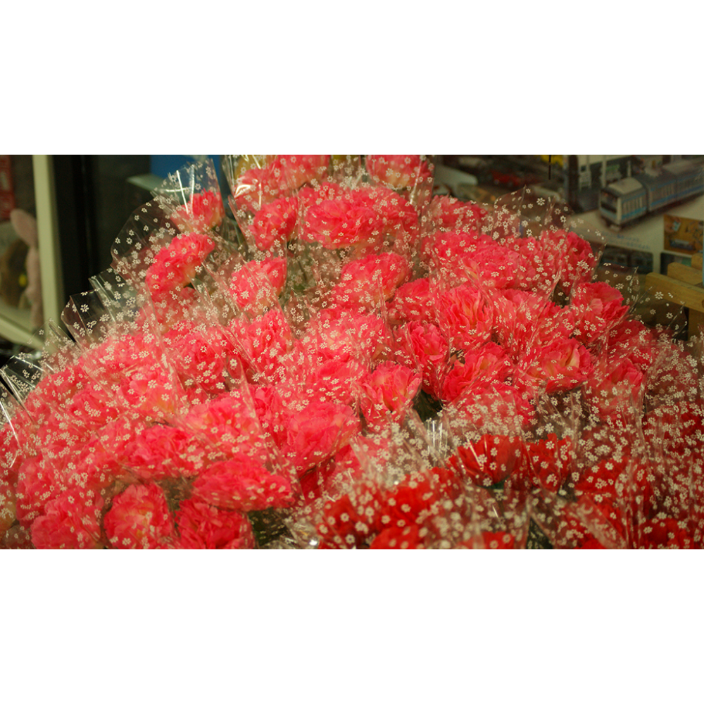康乃馨手工花-細節圖2