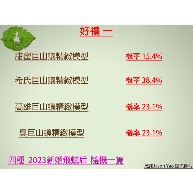 模型Mazu婚飛大禮包（超過15%機率中甜蜜）Mazu婚飛大禮包-細節圖2