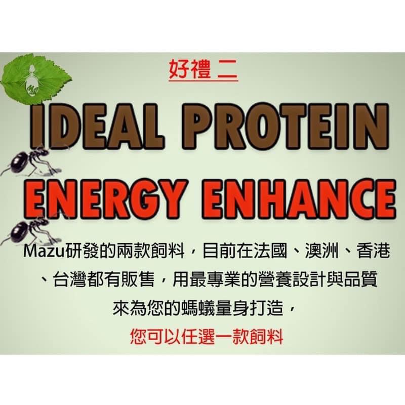 模型Mazu婚飛大禮包（超過15%機率中甜蜜）Mazu婚飛大禮包-細節圖3