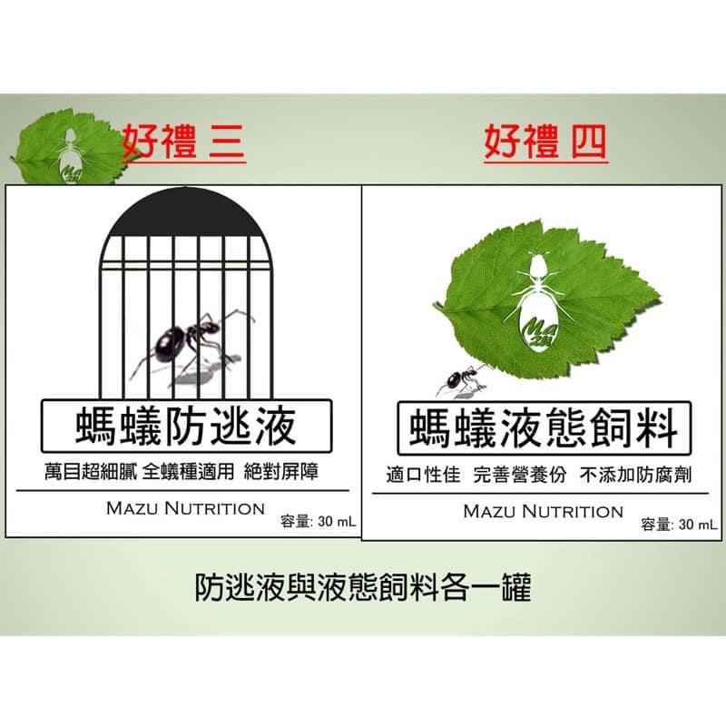 模型Mazu婚飛大禮包（超過15%機率中甜蜜）Mazu婚飛大禮包-細節圖4