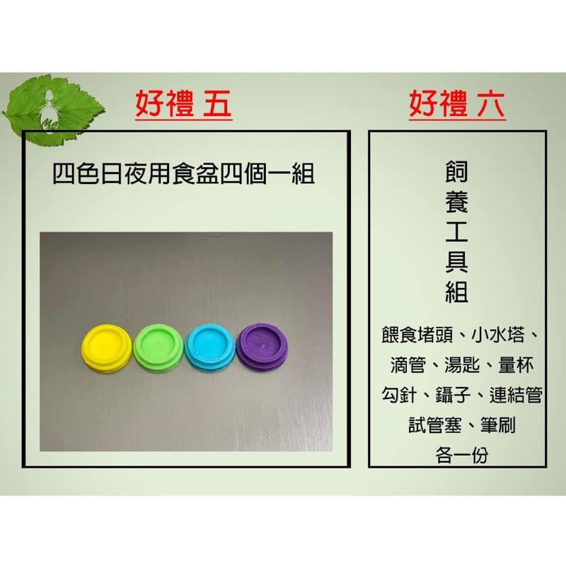 模型Mazu婚飛大禮包（超過15%機率中甜蜜）Mazu婚飛大禮包-細節圖5