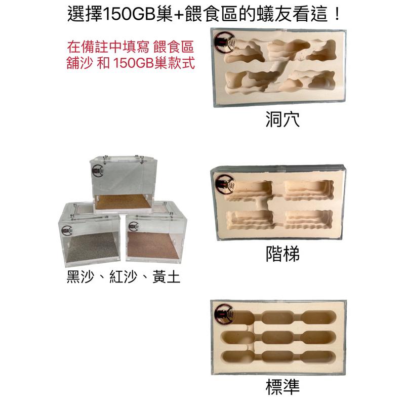 Mazu新手專用螞蟻飼養套組，可選台北巨山蟻、希氏巨山蟻、臭巨山蟻、高雄巨山蟻、白疏巨山蟻，小螞蟻帝國專用飼料/專業蟻巢-細節圖6