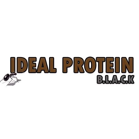 （速產全能型）螞蟻飼料 黑螞卡Black Ideal Protein for Ant 養螞蟻/螞蟻飼料/螞蟻巢-細節圖2