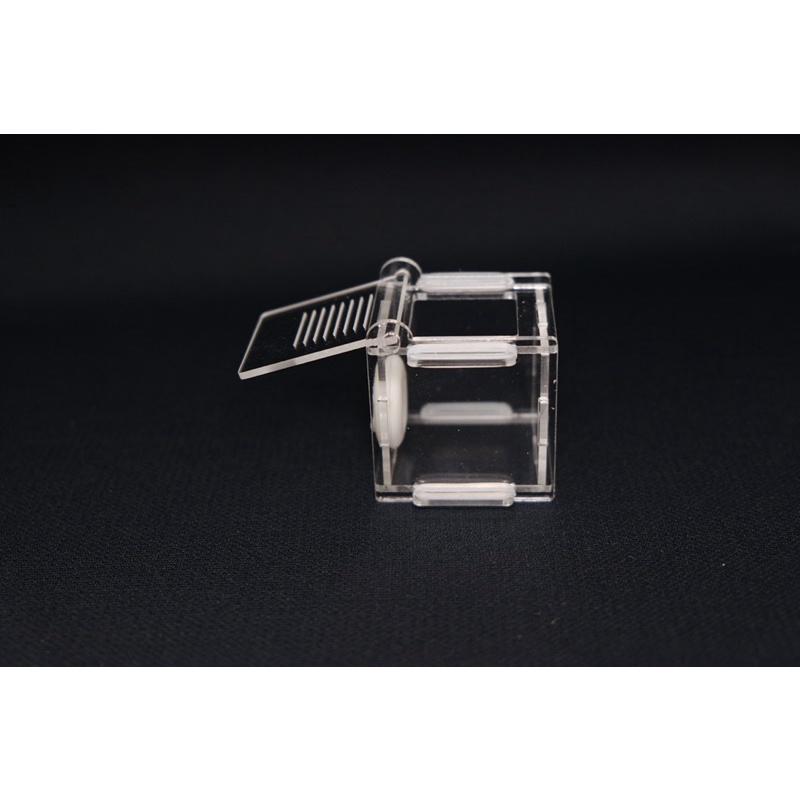 螞蟻試管餵食區活動區（有15mm、18mm可供選擇）新后小群落方便好餵食、養螞蟻、螞蟻飼料、螞蟻巢-細節圖3