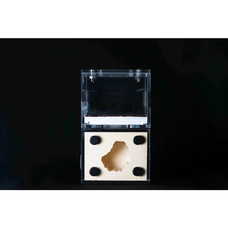 《E:巢》岩洞XS 直立巢 蟻巢 石膏巢 養螞蟻 螞蟻飼料-細節圖2