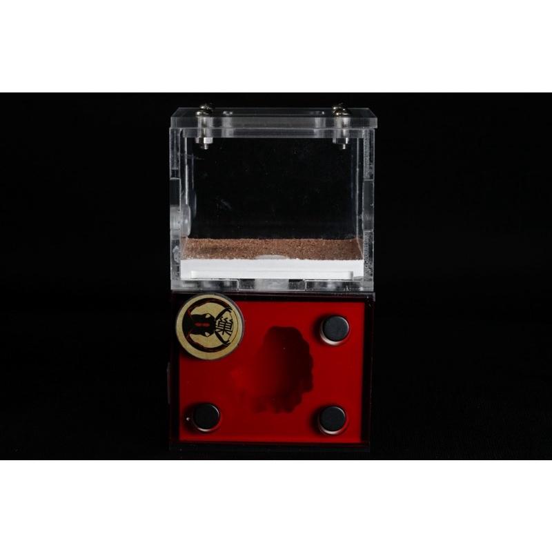 《E:巢》岩洞XS 直立巢 蟻巢 石膏巢 養螞蟻 螞蟻飼料-細節圖3