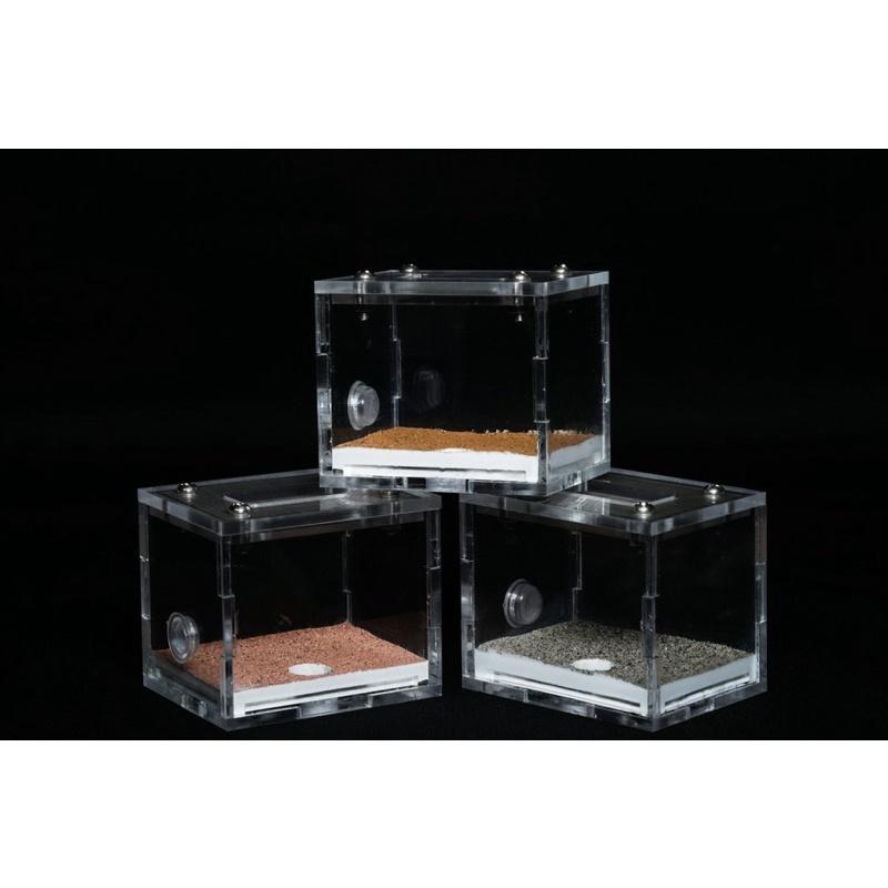 《E:巢》岩洞XS 直立巢 蟻巢 石膏巢 養螞蟻 螞蟻飼料-細節圖8