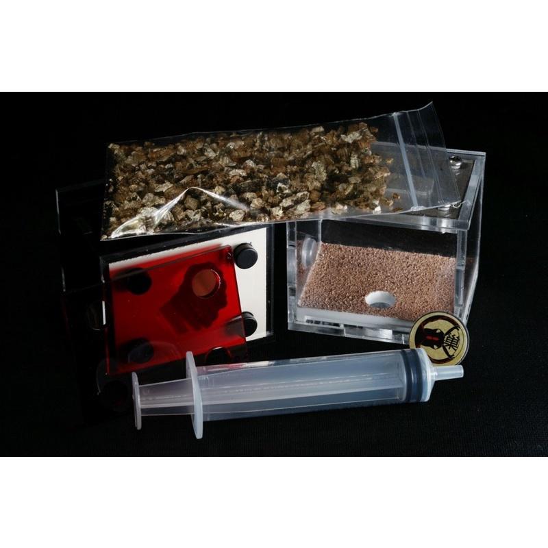 《E:巢》岩洞XS 直立巢 蟻巢 石膏巢 養螞蟻 螞蟻飼料-細節圖9