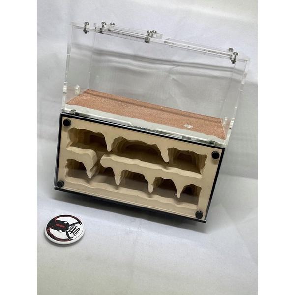 《E:巢》岩洞M 直立巢 蟻巢 石膏巢 養螞蟻 螞蟻飼料-細節圖2