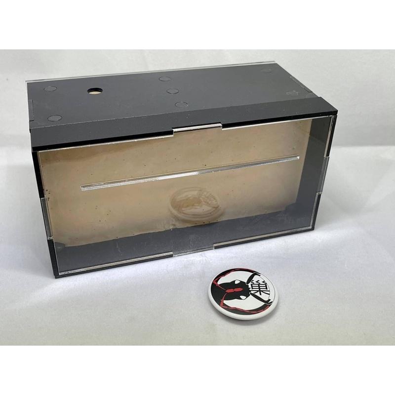 《E:巢》岩洞M 直立巢 蟻巢 石膏巢 養螞蟻 螞蟻飼料-細節圖7