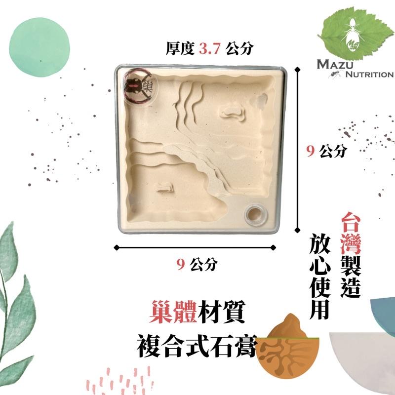 E:巢平面系列 小丘小平面密閉石膏巢/養螞蟻/螞蟻巢/螞蟻飼料-細節圖2