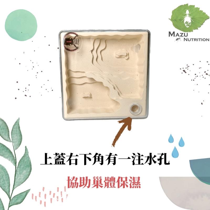E:巢平面系列 小丘小平面密閉石膏巢/養螞蟻/螞蟻巢/螞蟻飼料-細節圖4