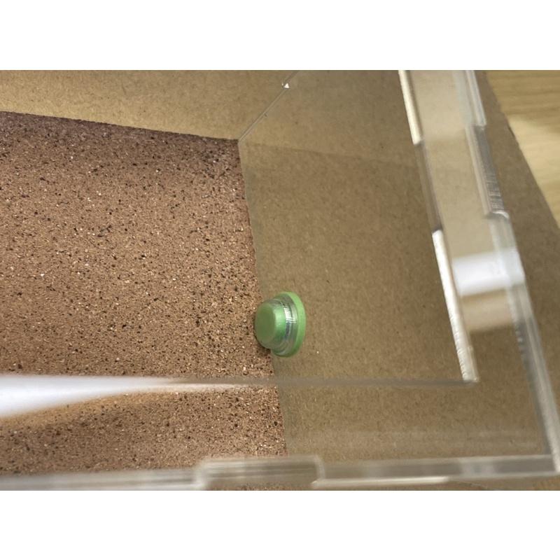 防咬堵頭（快拆快裝、專治嘴癢螞蟻、避免塑膠孔塞被咬破螞蟻跑出來、養螞蟻用堵頭、媽媽放心蟻友開心）養螞蟻/螞蟻飼料/螞蟻巢-細節圖8