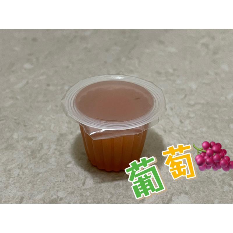 昆蟲果凍/螞蟻果凍/甲蟲果凍/蜜袋鼯/鳥/巨山蟻/獨角仙/鍬形蟲/螞蟻飼料/螞蟻巢/養螞蟻-細節圖2