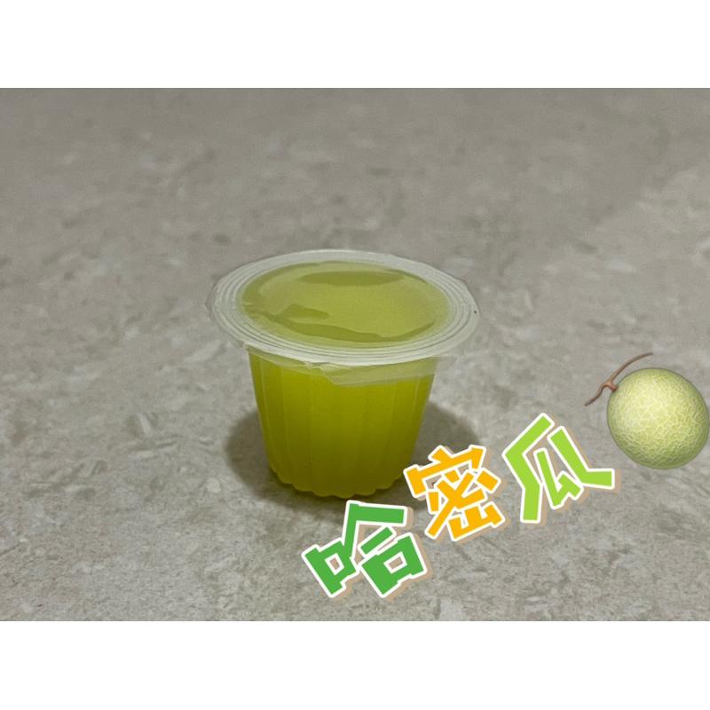 昆蟲果凍/螞蟻果凍/甲蟲果凍/蜜袋鼯/鳥/巨山蟻/獨角仙/鍬形蟲/螞蟻飼料/螞蟻巢/養螞蟻-細節圖3