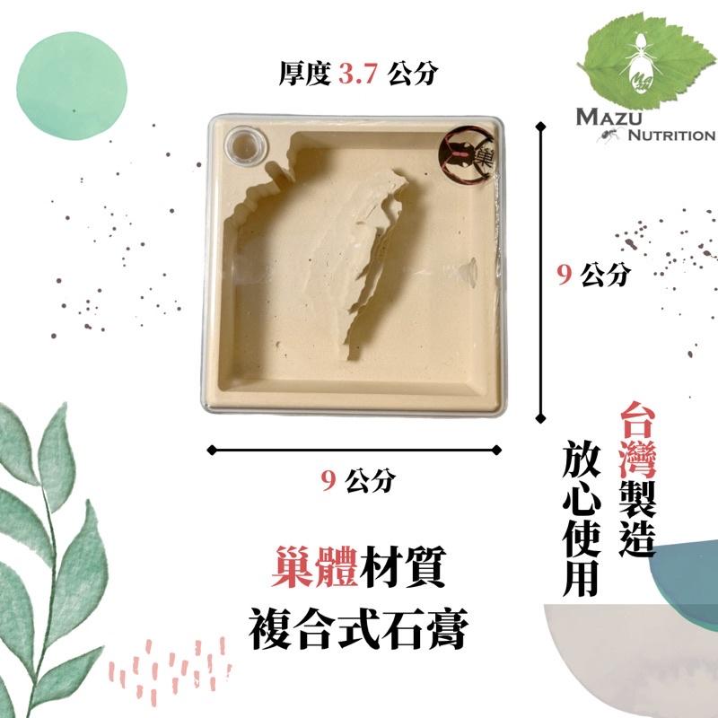 E:巢平面系列 台灣小平面密閉石膏巢/養螞蟻/螞蟻巢/螞蟻飼料-細節圖2