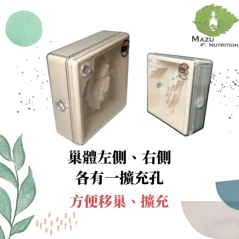 E:巢平面系列 台灣小平面密閉石膏巢/養螞蟻/螞蟻巢/螞蟻飼料-細節圖3