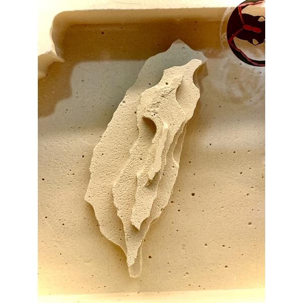 E:巢平面系列 台灣小平面密閉石膏巢/養螞蟻/螞蟻巢/螞蟻飼料-細節圖5